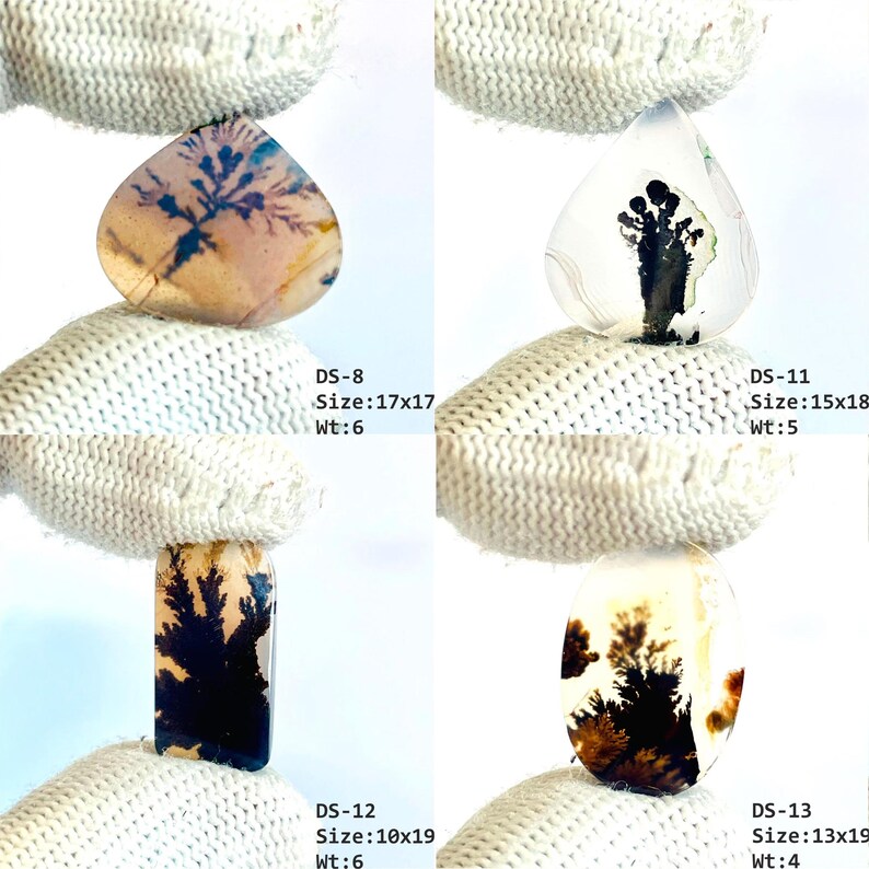 May include: Four dendritic agate gemstones with unique black fern-like inclusions. DS-8 is 17x17, DS-11 is 15x18, DS-12 is 10x19, and DS-13 is 13x19. Each stone displays distinct natural patterns within a translucent, polished, and smooth surface.