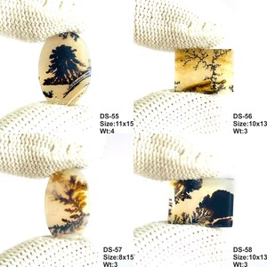 May include: Four dendritic agate gemstones with black fern-like inclusions on a translucent beige background. Each stone is labeled with codes DS-55, DS-56, DS-57, and DS-58, with sizes listed as 11x15, 10x13, 8x15, and 10x13, and weights of 4 and 3.