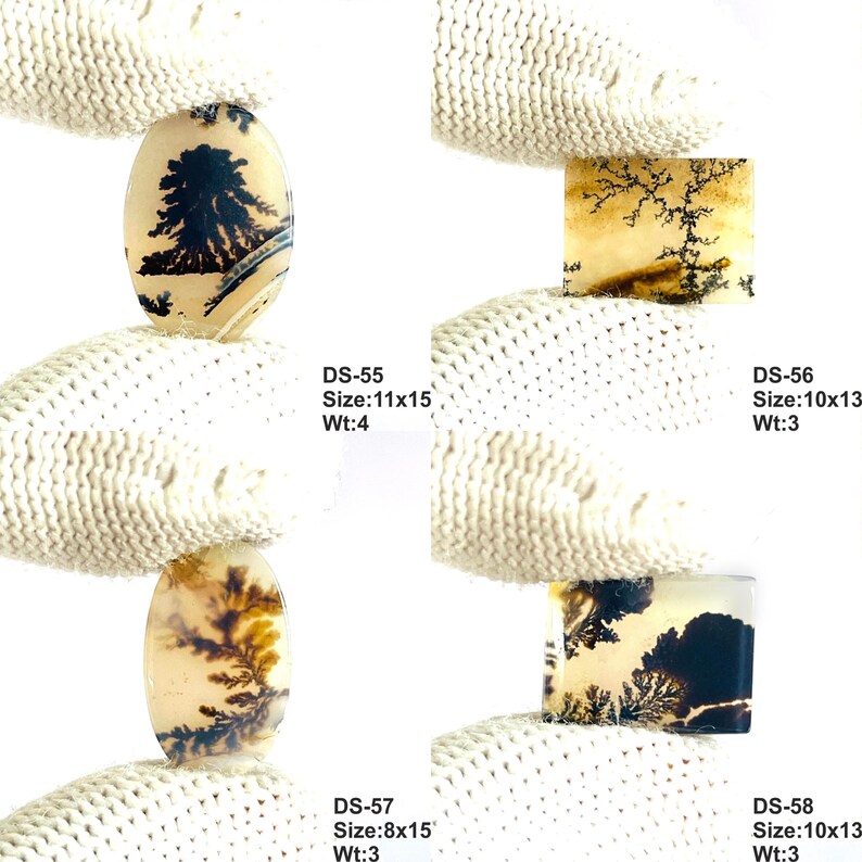 May include: Four dendritic agate gemstones with black fern-like inclusions on a translucent beige background. Each stone is labeled with codes DS-55, DS-56, DS-57, and DS-58, with sizes listed as 11x15, 10x13, 8x15, and 10x13, and weights of 4 and 3.