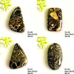 May include: Four polished cabochons of dark brown fossiliferous stone with cream-colored spiral shell inclusions. Each piece is labeled with a code, size in mm, and weight in grams: PJ-29 21x35mm 24g, PJ-30 20x31mm 28g, PJ-31 22x32mm 28g, and PJ-32 19x35mm 37g.