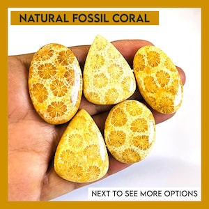 Natural Fossil Coral Gemstone Cabochon: Jewelry Making Pendant