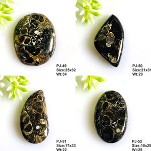 May include: Four polished black and brown fossilized stones with circular patterns. Each stone is labeled with a code, size in mm, and weight in carats: PJ-49 25x32 34, PJ-50 21x31 29, PJ-51 17x33 22, and PJ-52 18x29 25. The stones have smooth surfaces.