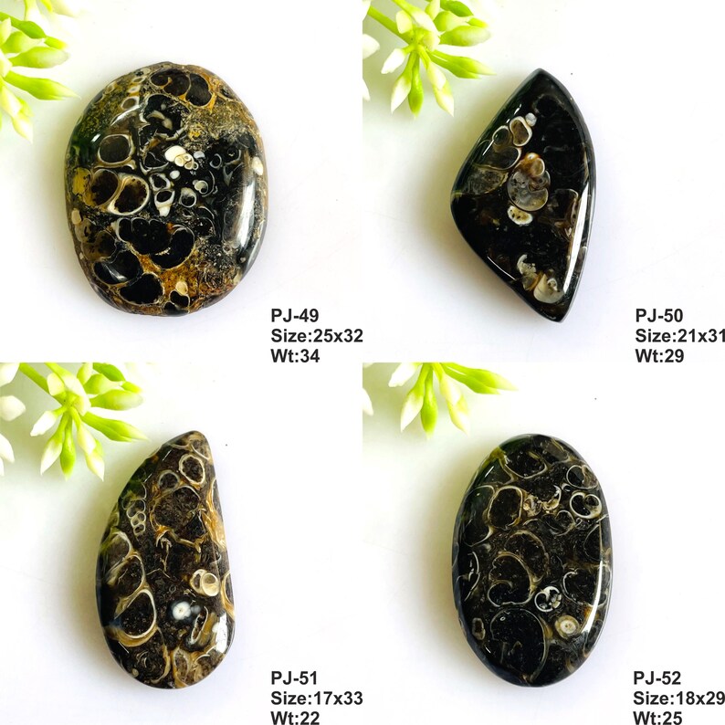 May include: Four polished black and brown fossilized stones with circular patterns. Each stone is labeled with a code, size in mm, and weight in carats: PJ-49 25x32 34, PJ-50 21x31 29, PJ-51 17x33 22, and PJ-52 18x29 25. The stones have smooth surfaces.