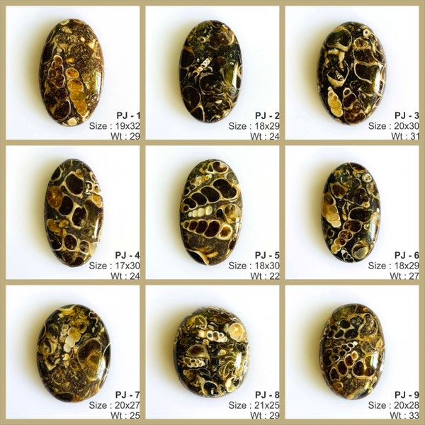 Turritella Agate Gemstone cabochon, Mix Shape Natural Designer Turritella Cabochon, Loose wholesale Gemstone Jewelry Making Supply