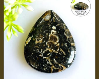 Natürliche Turritella Achat Cabochon: Mix Form Edelstein Schmuck Versorgung