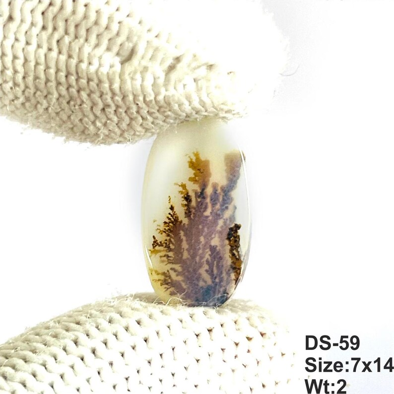 May include: An oval-shaped dendritic agate gemstone featuring a translucent off-white base with dark brown, fern-like inclusions. The stone is labeled with the text DS-59, Size: 7x14, and Wt: 2, indicating its specific identification and dimensions.