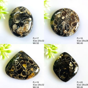 May include: Four polished black and brown fossil stones with visible shell patterns. PJ-17 is oval, 25x32mm, 52g. PJ-18 is round, 28x28mm, 40g. PJ-19 is triangular, 28x32mm, 34g. PJ-20 is diamond-shaped, 26x28mm, 40g. Each stone has a smooth surface.