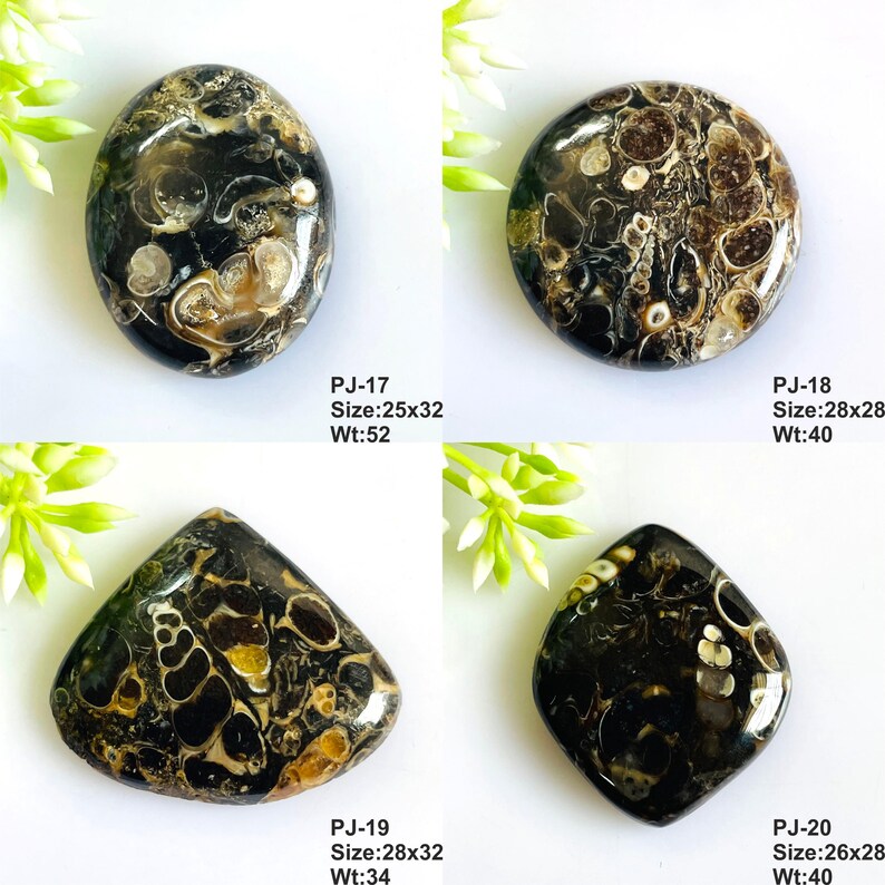 May include: Four polished black and brown fossil stones with visible shell patterns. PJ-17 is oval, 25x32mm, 52g. PJ-18 is round, 28x28mm, 40g. PJ-19 is triangular, 28x32mm, 34g. PJ-20 is diamond-shaped, 26x28mm, 40g. Each stone has a smooth surface.
