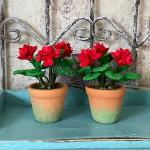 May include: Two miniature potted plants with vibrant red flowers and green leaves. The terracotta pots have a gradient of green at the base. The plants sit on a light blue surface, with a decorative metal gate in the background.