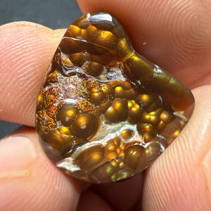 Puede incluir: Una gema pulida en forma de lágrima con una rica paleta de colores cálidos. La piedra presenta una mezcla de tonos marrones, dorados y anaranjados, con una superficie texturizada que captura la luz. La gema se sostiene entre dos dedos.