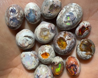 May include: A selection of oval opals in different sizes and colours, including white, brown, and orange. Some opals show iridescent flashes of green, blue, and red. The opals are held in a hand.