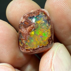 May include: A polished opal gemstone with a vibrant display of colors, including green, yellow, and orange, set against a brown matrix. The gemstone is held between fingers, showcasing its unique iridescence and natural beauty.
