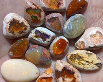 May include: A collection of 14 natural opal gemstones in various shapes and sizes. The opals are a mix of white, brown, and orange with iridescent flashes of colour.