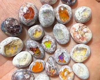 May include: A selection of oval opals in shades of orange, brown, white, and iridescent colours. The opals have a rough, textured exterior and show internal flashes of colour. The gemstones are displayed in a hand.