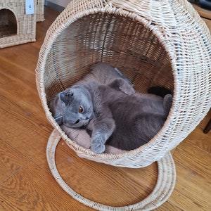 Hanging wicker cat bed 2025