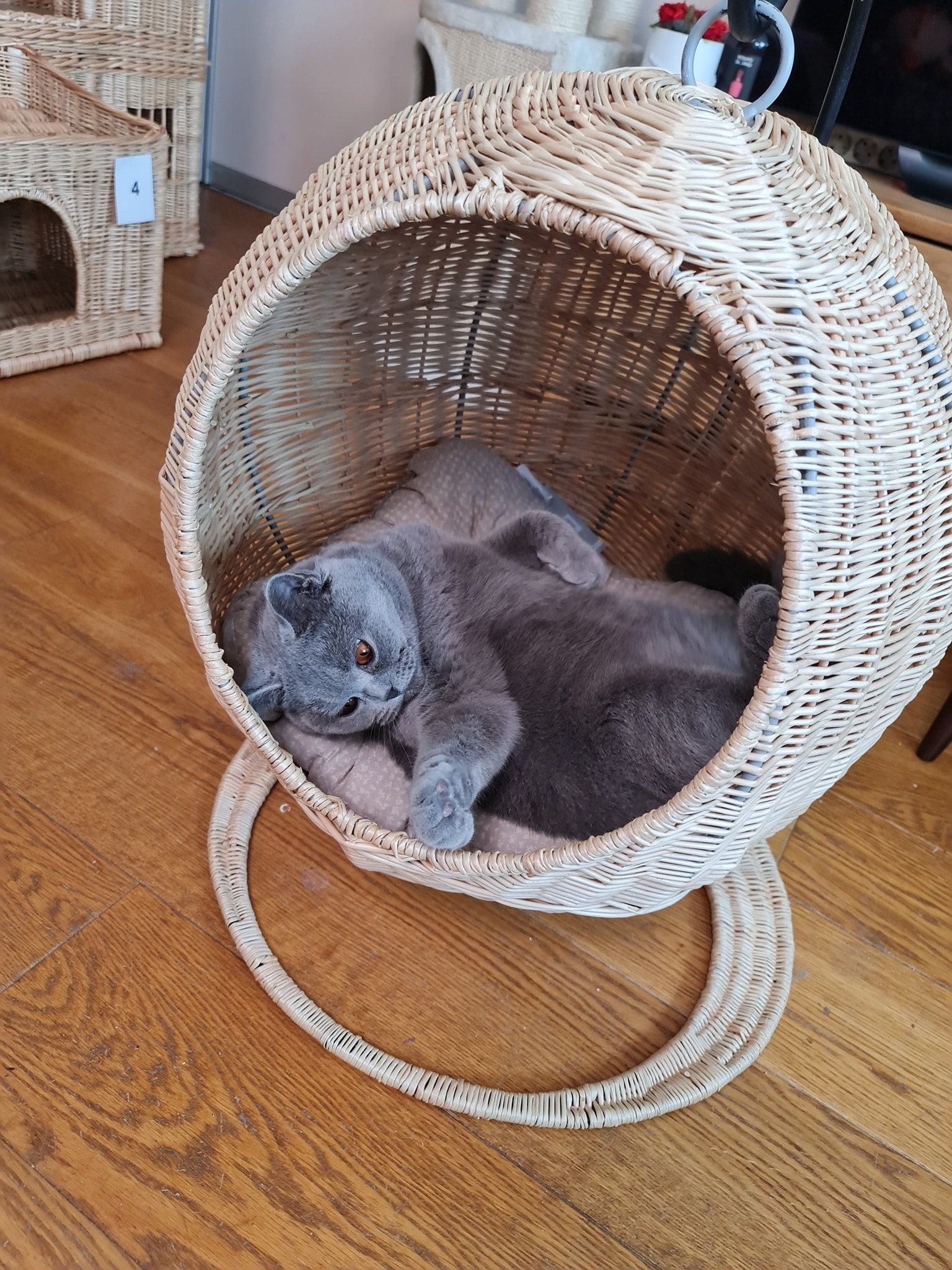 Hanging wicker top ball cat bed
