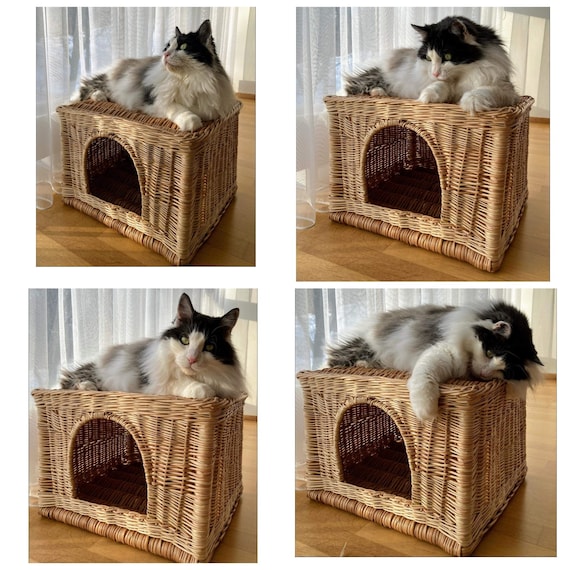 Willows cat cheap scratcher
