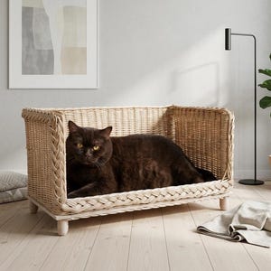 Handvävd kattbädd i rotting: Möbler för husdjur med öppen ram