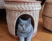 cat cocoon,  bed, tree, scratcher, pet furniture