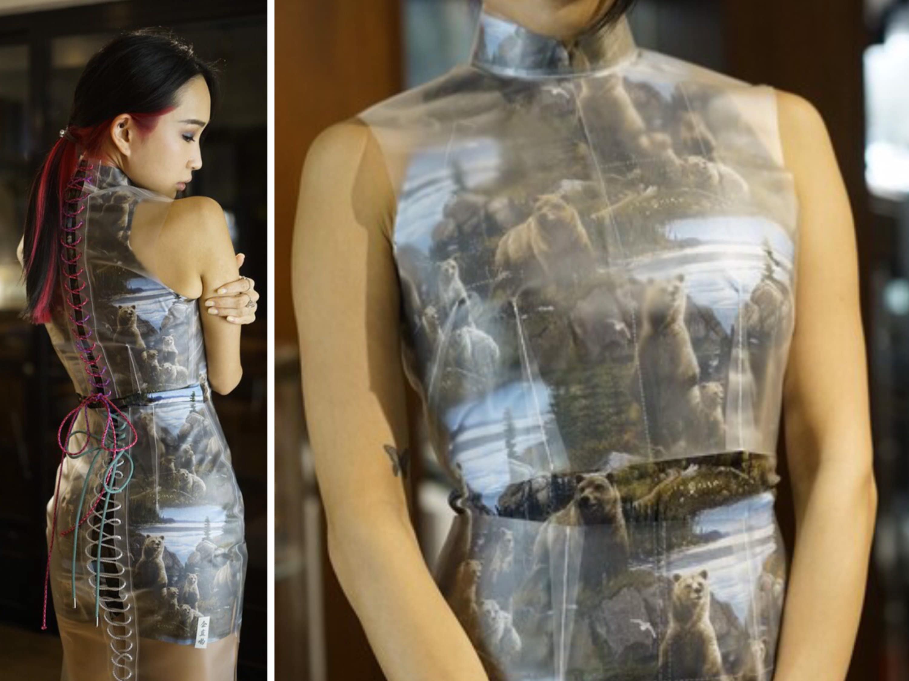 Transparent Plastic Dress