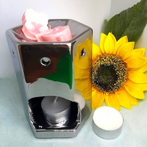 HEXAGONAL Ceramic Wax Melter / Wax Brander - Chroom