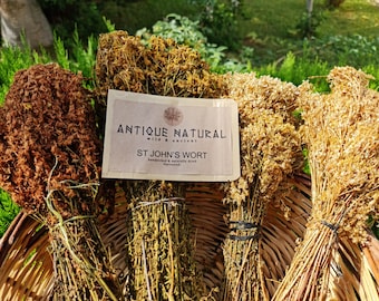 Organic Wild St. John's Wort dried herbal tea. Harvested July 2024