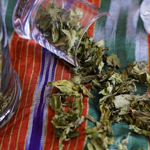 Organic Spearmint from Meditterrean Harvested september 2024 high aroma premium quality