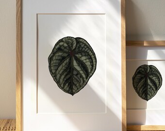 Anthurium Blatt Kunstdruck: Botanische Dekoration (Digitaler Download)