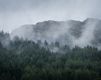 Forest mist Digital Photography, Home Decor Photo, Nature Digital Photo Prints, Print at home, Wall decor