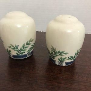 Pgaltzgraff Ceramic Salt and Pepper Shakers