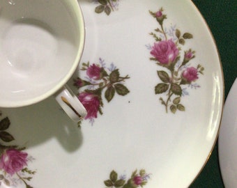 Moss Rose Plates, Cups, Snack Set, Vintage Cake Plate by