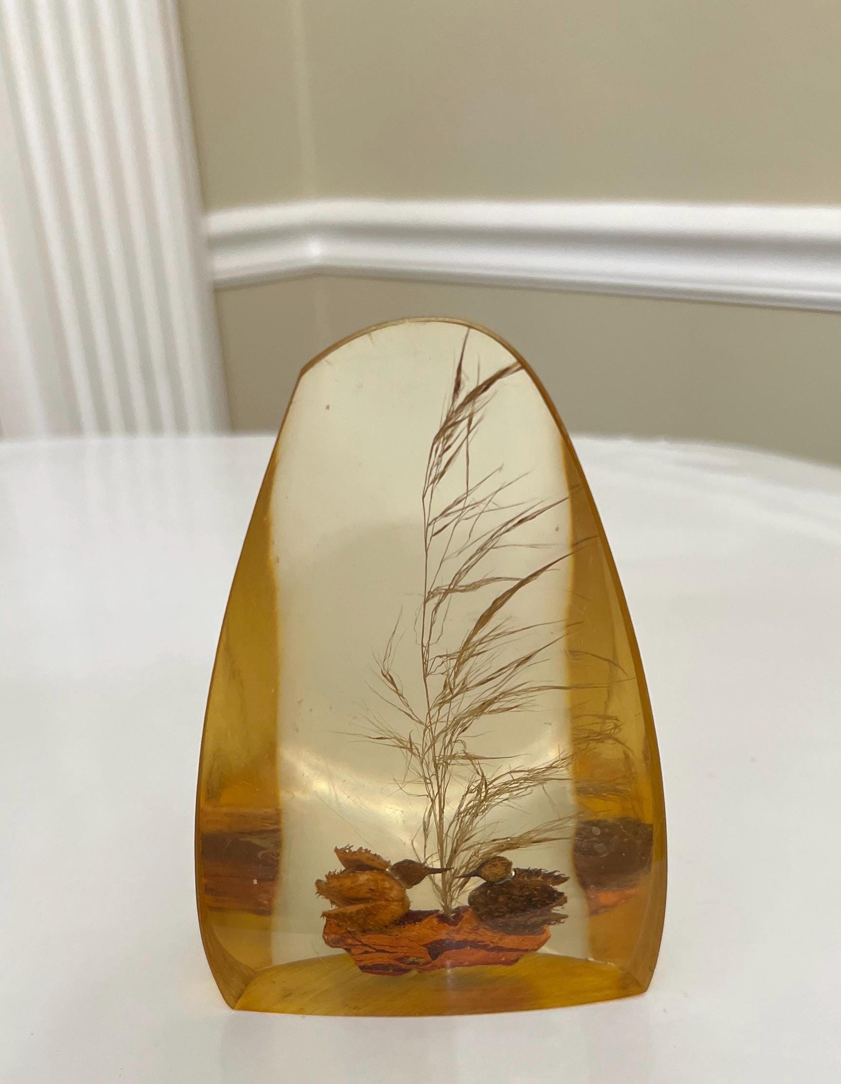 Vintage Lucite Paperweight Duck Scene Composed of Natural Materials ...
