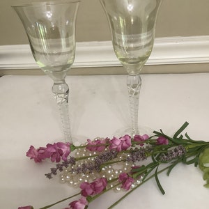 Princess House Optic Twisted stem Champagne Goblet, Wine Toasting Glass, Wedding/ Anniversary Toasting Goblets