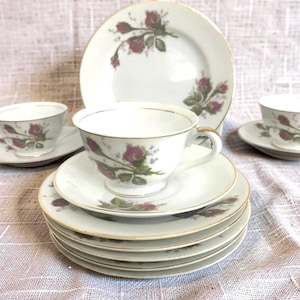 Porcellana vintage Moss Rose: piatti, tazze e piattini Thames & Ucagco