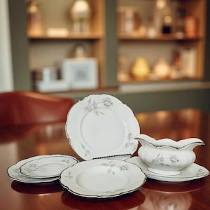 フッチェンロイター ドレスデン ディナープレート10枚 HUTSCHENREUTHER