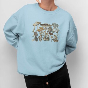 May include: A light blue crewneck sweatshirt featuring a central graphic print of various mushrooms in shades of brown, tan, and muted orange. The long-sleeved pullover has a ribbed collar, cuffs, and hem, providing a standard fit and finish.