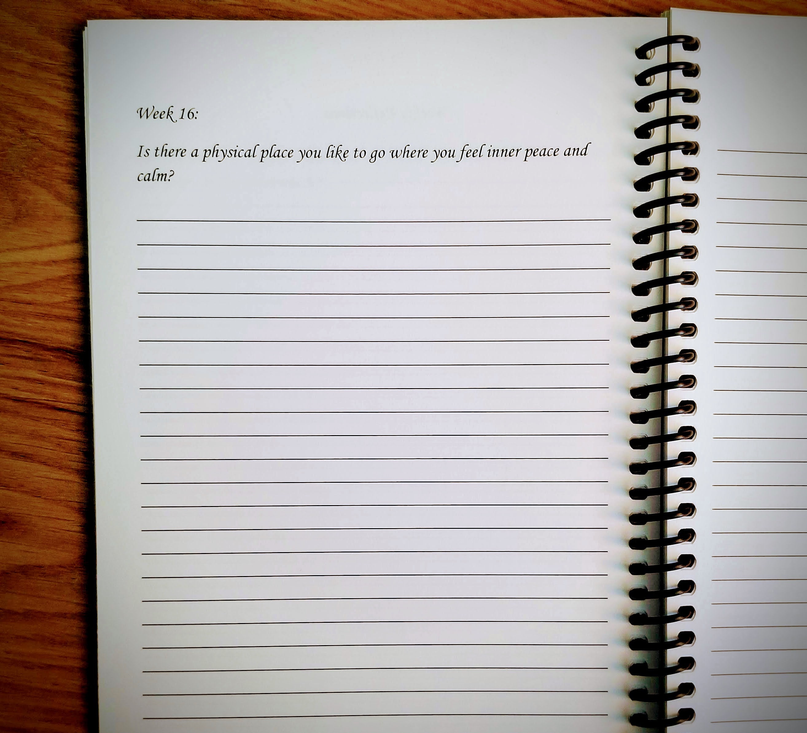 A Guided Journal to Heal From Trauma Trauma Survivor Gift Etsy UK