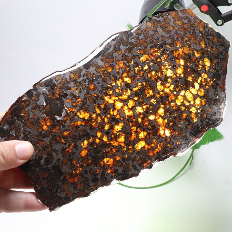 Sericho Pallasite Meteorite from Kansas City Mall Kenya Habaswein part Selling sl Africa
