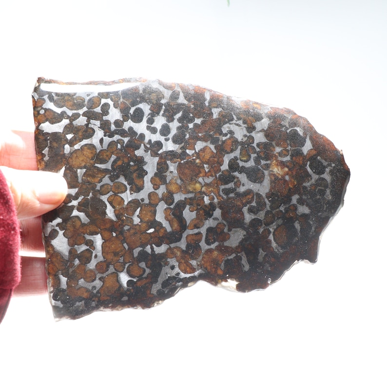 Sericho Pallasite Meteorite from Kenya Africa Habaswein  part sl