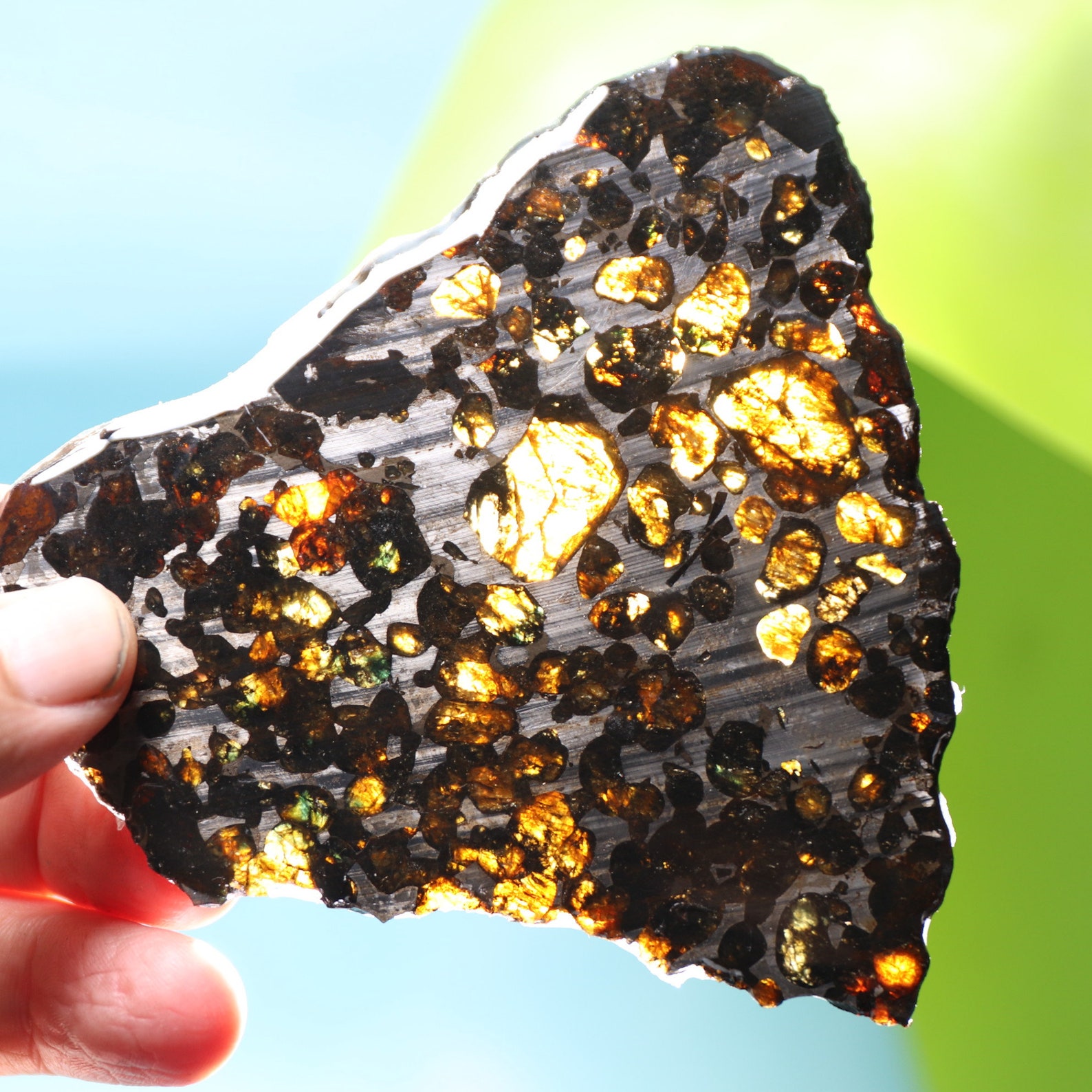 pallasite meteorite pallasite meteorite