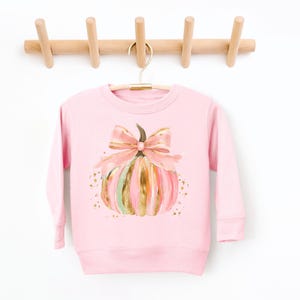 May include: Pink sweatshirt with a watercolor pumpkin design. The pumpkin has pink, green, and gold stripes, topped with a pink bow. Gold flecks surround the pumpkin. The sweatshirt hangs on a wooden coat rack.