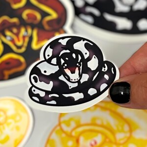 May include: A collection of four die-cut vinyl stickers featuring illustrated snakes. One sticker is held up, showing a black and white snake. Other stickers include a red and yellow snake, a larger black and white snake, and a yellow and white snake.