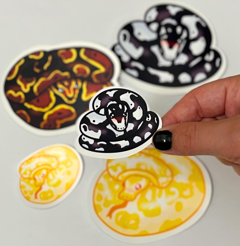 Puede incluir: Una colecci&oacute;n de cuatro pegatinas de vinilo troqueladas con serpientes ilustradas. Una pegatina se sostiene en la mano, mostrando una serpiente negra y blanca. Otras incluyen una serpiente roja y amarilla, una m&aacute;s grande negra y blanca y una amarilla y blanca.