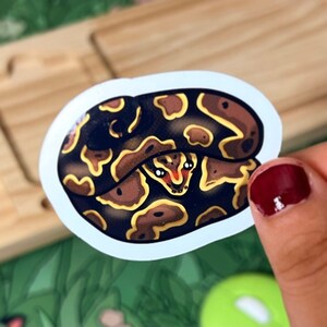 May include: A die-cut sticker featuring a coiled ball python with a dark brown and black body patterned with irregular yellow-gold blotches. The snake has a small head with large, expressive eyes and a white border surrounding the entire illustration.