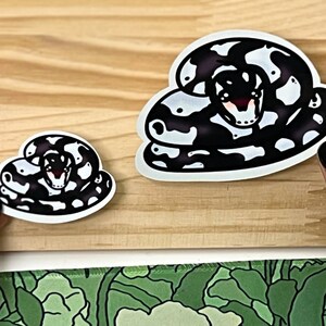 Puede incluir: Dos pegatinas de vinilo troqueladas que muestran una serpiente enroscada con un cuerpo de patr&oacute;n blanco y negro. La serpiente tiene una cabeza peque&ntilde;a con ojos grandes y oscuros y un sutil rubor rosado en las mejillas. Se muestran en dos tama&ntilde;os.