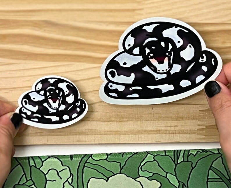 Puede incluir: Dos pegatinas de vinilo troqueladas que muestran una serpiente enroscada con un cuerpo de patr&oacute;n blanco y negro. La serpiente tiene una cabeza peque&ntilde;a con ojos grandes y oscuros y un sutil rubor rosado en las mejillas. Se muestran en dos tama&ntilde;os.