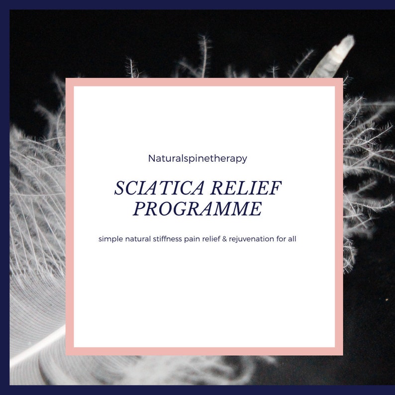May include: A square graphic with a pink border on a dark blue background. The text reads "Naturalspinetherapy SCIATICA RELIEF PROGRAMME" with the tagline "simple natural stiffness pain relief & rejuvenation for all". White feathers are in the background.