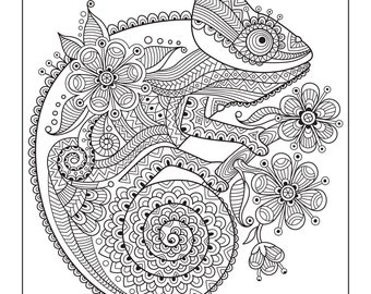 Download Animal Coloring Book Etsy