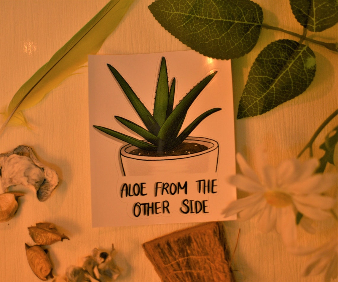 Sticker/ Plant/ Aloe Vera/ Quote/ Aloe Vera Plant/ Green/ Etsy