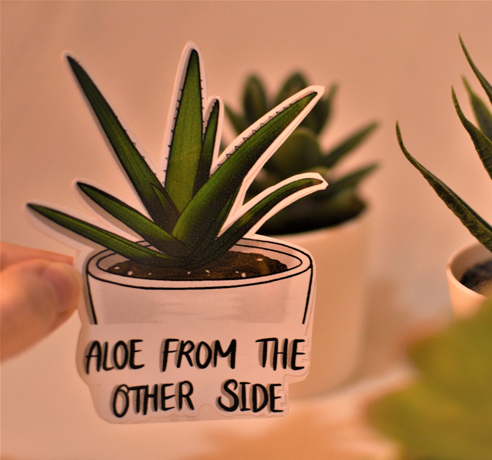 Sticker/ plant/ aloe vera/ quote/ aloe vera plant/ green/ Etsy